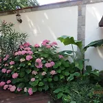 Napoli Rawda